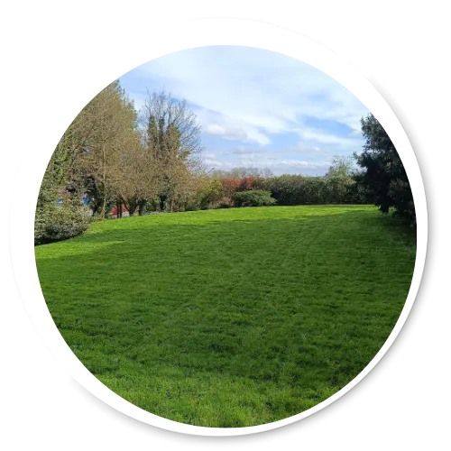 amenagement de jardin cambernon