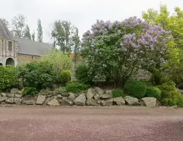 arboriste Bricqueville-la-Blouette-3
