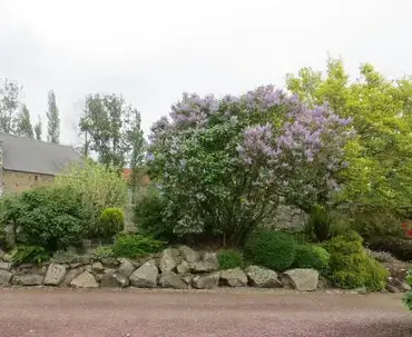 arboriste Cambernon-5