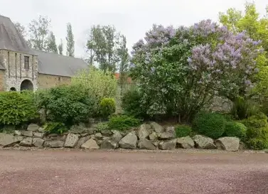arboriste Gratot-5